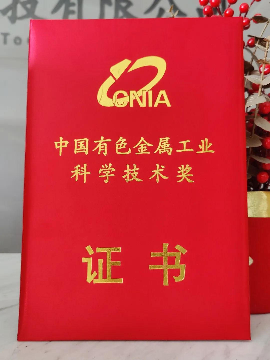 1670555202209731 1670555202209731